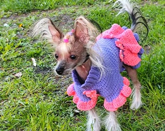 Crochet Manteau ModÃ¨le Manteau Tricot Pour Chihuahua Robe