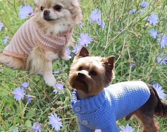 Crochet Dog Sweater, Small Dog Clothes (PDF Pattern