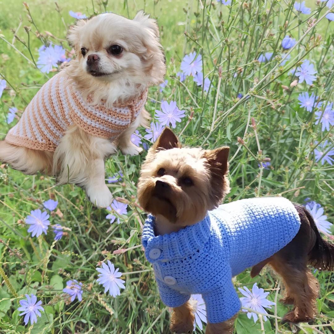 かぎ針編みの犬用セーター、小型犬用服（PDFパターン） - Etsy 日本
