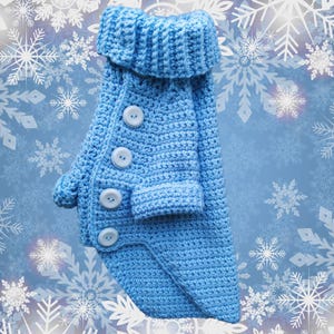 May include: A light blue crocheted dog sweater with a high collar and buttons down the front.