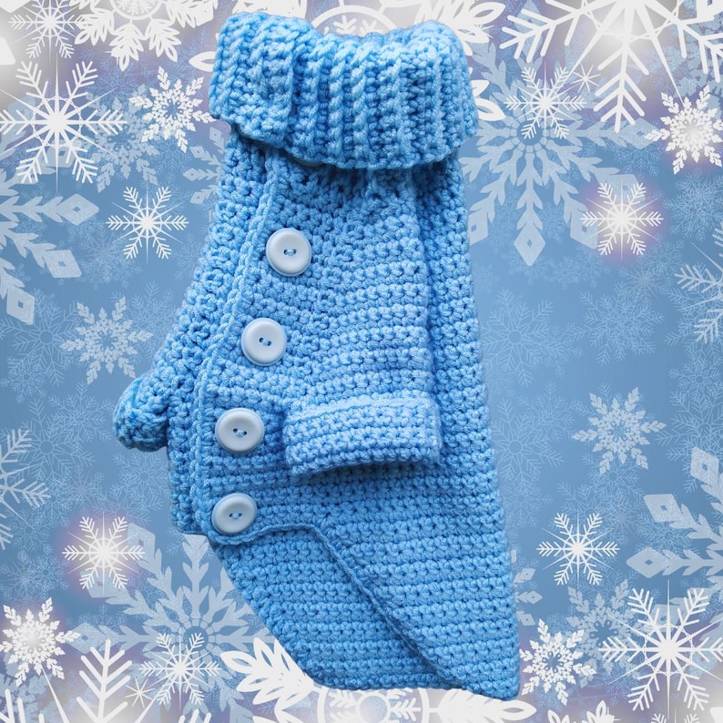 May include: A light blue crocheted dog sweater with a high collar and buttons down the front.