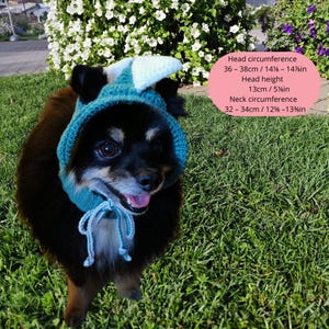May include: A small black and brown dog wearing a teal blue crocheted hat with a white crocheted ear. The hat has a white string tie. The dog is standing on green grass. The image includes text with measurements for head circumference, head height, and neck circumference in both inches and centimeters.