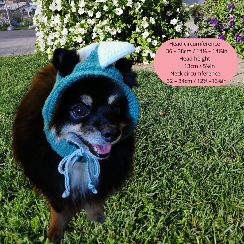 May include: A small black and brown dog wearing a teal blue crocheted hat with a white crocheted ear. The hat has a white string tie. The dog is standing on green grass. The image includes text with measurements for head circumference, head height, and neck circumference in both inches and centimeters.
