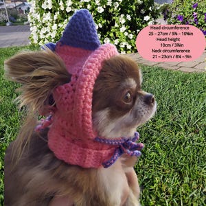 May include: A small brown and white dog wearing a pink and purple crocheted hat with a pointed top. The hat has a purple and pink bow on the side. The hat is sized for a head circumference of 9-10 inches and a neck circumference of 8 1/4-9 inches.