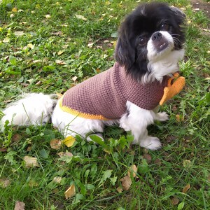 May include: A small black and white dog wearing a brown crocheted sweater with a yellow trim and a brown heart-shaped patch. The dog is sitting on a bed of green grass with some fallen leaves.