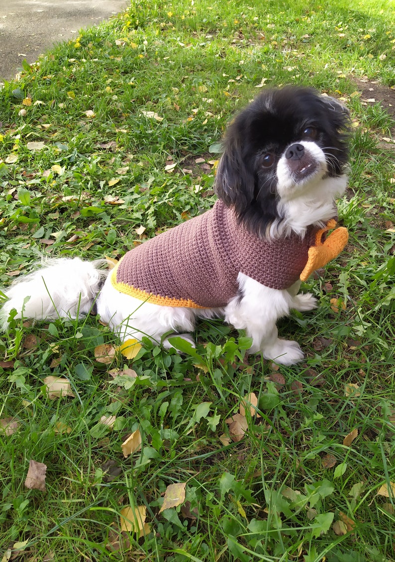 May include: A small black and white dog wearing a brown crocheted sweater with a yellow trim and a brown heart-shaped patch. The dog is sitting on a bed of green grass with some fallen leaves.