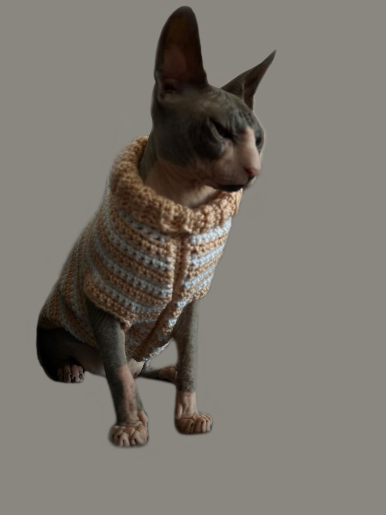 May include: A hairless cat wearing a crocheted sweater with beige and white stripes. The sweater has a button closure at the neck.