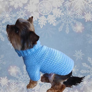 May include: A small dog wearing a light blue crocheted sweater. The dog is sitting on a blue background with white snowflakes.