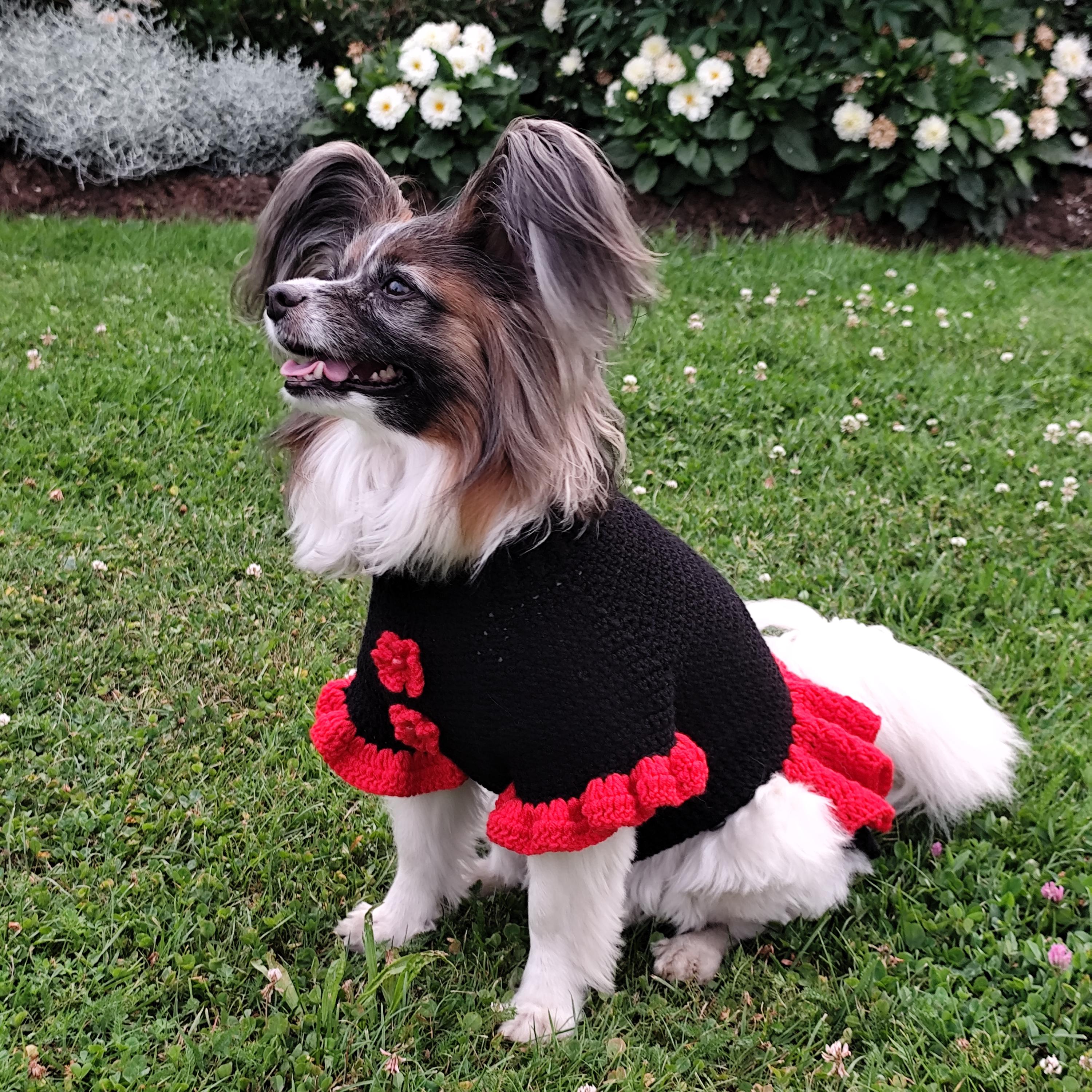 winter dresses for dogs dog large dogs, clothes for dogs, large dog dresses, crochet flower patterns, crochet dog sweater pattern, sphynx cat sweater The 26 Best Beach color:coti-dress-rose-flock-tangerine-16 swatch:https://cdn.shopify.com/s/files/1/1444/3082/products/COTI-DRESS-SATIN-TANGERINE-RONAL-FLOCK165527D_106x106.jpg?v=1621243833 After purchase download the Dath:Dearg