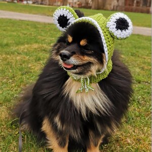 May include: A black and brown dog wearing a green and white crocheted frog hat with black eyes. The dog is sitting on green grass.