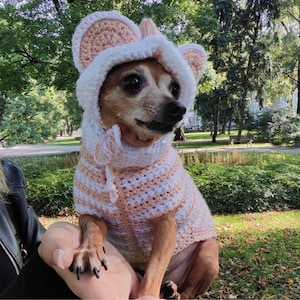 May include: A small dog wearing a pink and white crocheted sweater with a hood and ears. The sweater has a striped pattern.