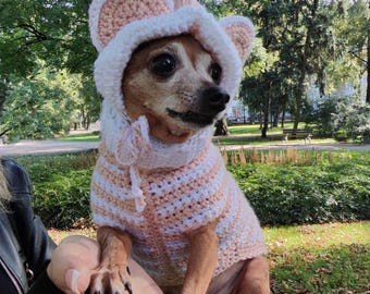 May include: A small dog wearing a pink and white crocheted sweater with a hood and ears. The sweater has a striped pattern.