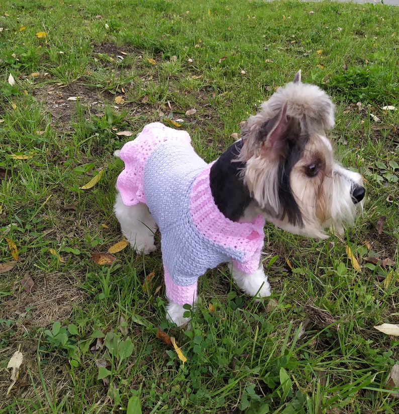 Crochet Dog Dress Pattern Dog Sweater Pattern Cat Sweater Etsy