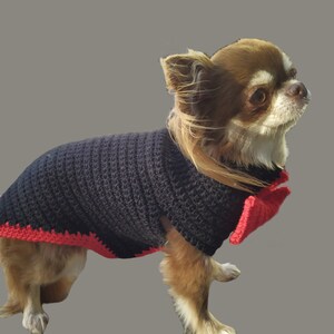 May include: A small brown and white chihuahua wearing a black crocheted sweater with a red crocheted bow tie.
