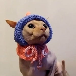 Crochet hat for cat, crochet pattern, easy crochet pattern, cat hat for cat, sphynx cat clothes, winter clothes for cats, gift for cat.