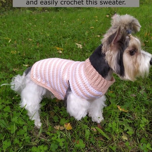 May include: A small white dog wearing a pink and white striped crocheted sweater. The dog is standing on green grass.