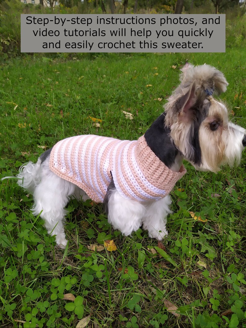 May include: A small white dog wearing a pink and white striped crocheted sweater. The dog is standing on green grass.