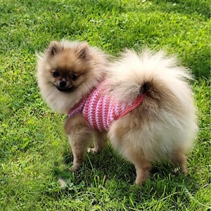 Dog clothes for small dogs, simple crochet patterns for beginners, dog accessories, large dog coats for winter, pomeranian with clothes.