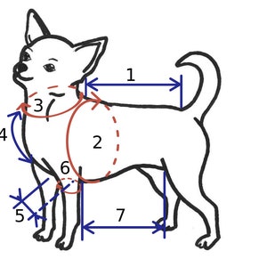 May include: Line drawing of a chihuahua with seven measurements marked on its body. The measurements are labeled with numbers 1 through 7. The measurements are for the length of the back, the circumference of the chest, the length of the neck, the length of the body, the length of the leg, the circumference of the leg, and the height of the dog.