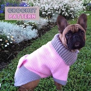 Haakpatroon voor honden, trui Franse bulldog, winterjas Franse bulldog, kleding grote honden, kostuum grote hond, gehaakte trui hond