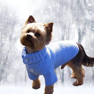 May include: A small dog wearing a light blue knitted sweater with buttons. The dog is standing in front of a snowy background.