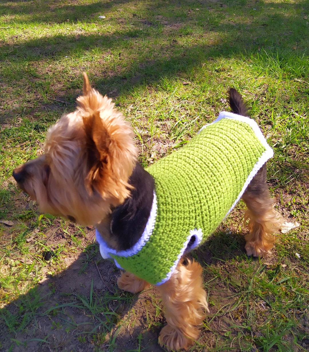 Dog Sweater Crochet Pattern, Dog Coat, Pet Clothes Patterns, Crochet ...