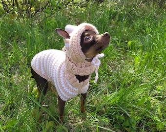 Disfraces para perros pequeños, patrón suéter para perro a crochet