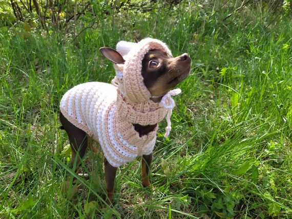 Small dog costumes, dog sweater pattern crochet, crochet hat for pet, dog hat with ear holes, easy crochet pattern for beginners, medium dog