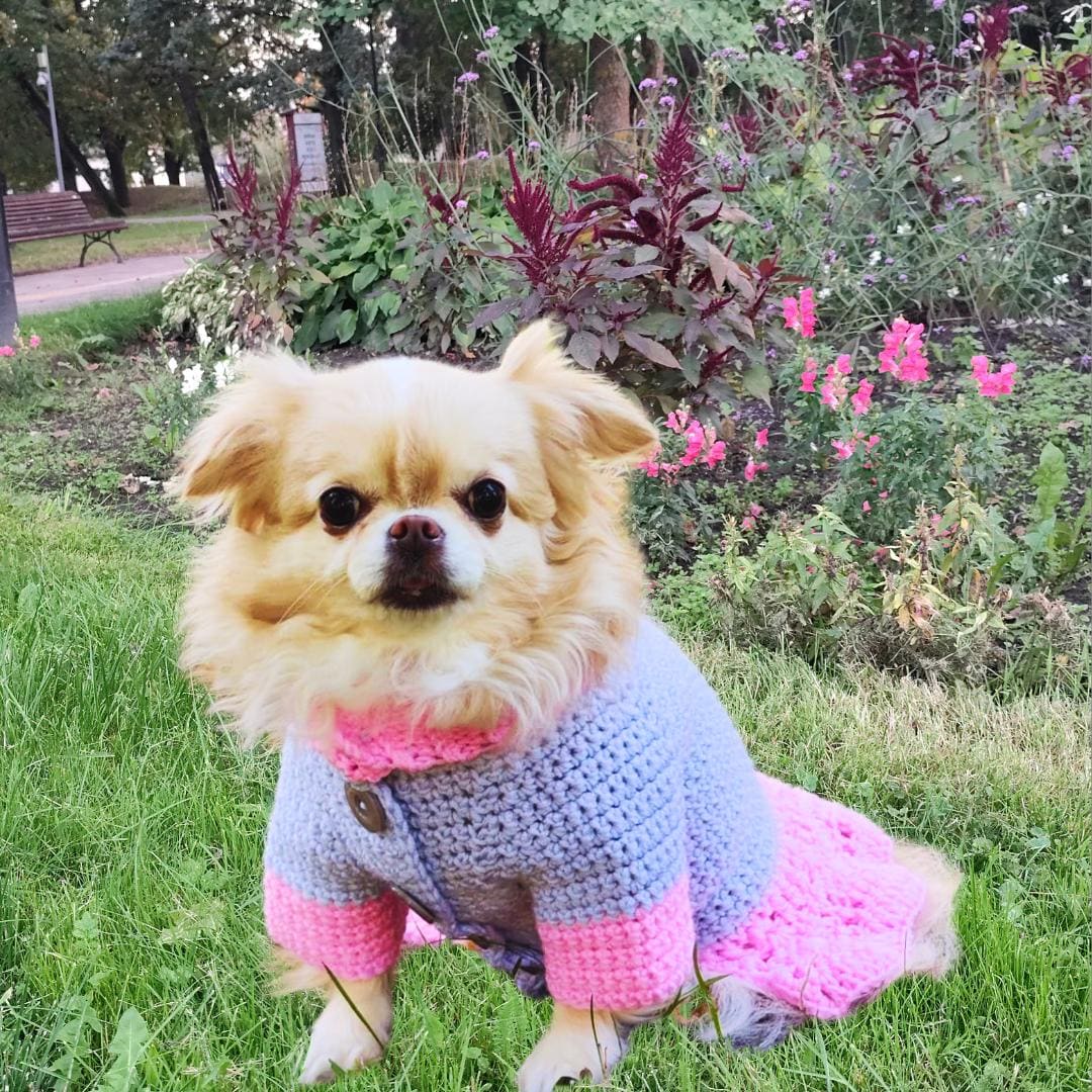 Dog Dress Pattern, Small Dog Clothes Girl, Crochet Pattern for Dog