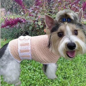 Crochet dog sweater pattern, Cat clothes pattern, Crochet cat sweater pattern, Small to medium sized, Fast and easy beginner sweater.