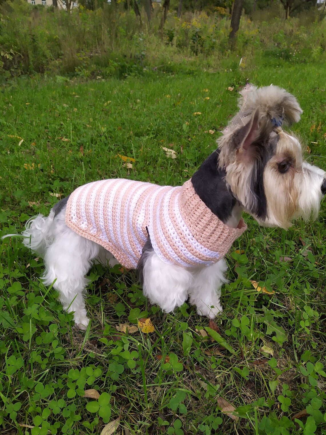 Crochet Dog Sweater and Hat Patterns. Small and Medium Dog Etsy