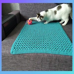 May include: A teal crocheted blanket with a white cat playing with a multi-colored ball on a gray couch.