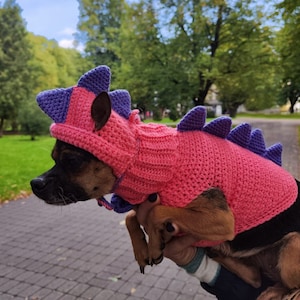 May include: A small dog wearing a pink and purple crocheted dinosaur costume. The costume has a pointed hood and a tail with spikes.