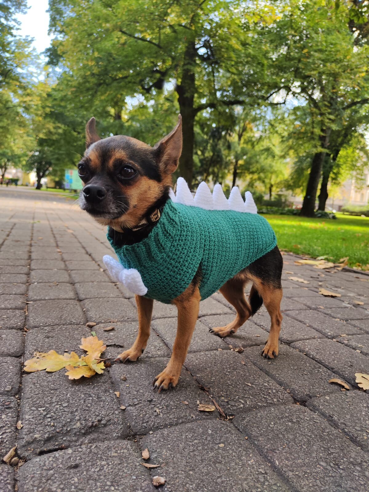 Crochet Dog Sweater Pattern, Dog Coat Pattern, Crochet Bow, Dragon Dog, Big  Dog Clothes, Cat Sweater Crochet Pattern, Sweater Puppy. - Etsy