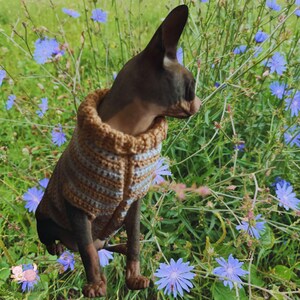 Sphynx cat sweater pattern, Crocheted sweater for cat pattern, Crochet dog sweater pattern, sphynx cat clothes, cat sweater crochet pattern. image 10