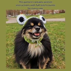May include: A small black and brown dog wearing a green and white crocheted frog hat. The hat has large, round, green ears with white and black accents.
