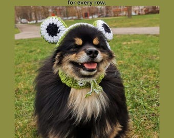 May include: A small black and brown dog wearing a green and white crocheted frog hat. The hat has large, round, green ears with white and black accents.