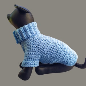 May include: A light blue crocheted dog sweater with a turtleneck.