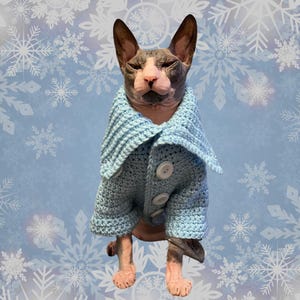 May include: A hairless cat wearing a light blue crocheted sweater with white buttons. The cat is sitting on a blue background with white snowflake patterns.