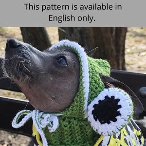 May include: A small, hairless dog wearing a green and white crocheted hat with earmuffs. The hat has a white trim and a black pom-pom on each earmuff.