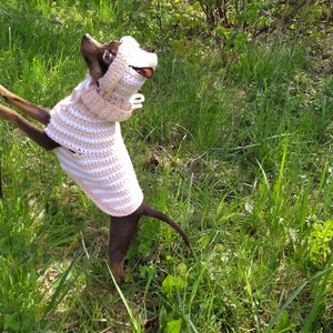 May include: A brown and white dog wearing a pink and white striped crocheted sweater. The dog is standing in a grassy area with green foliage.