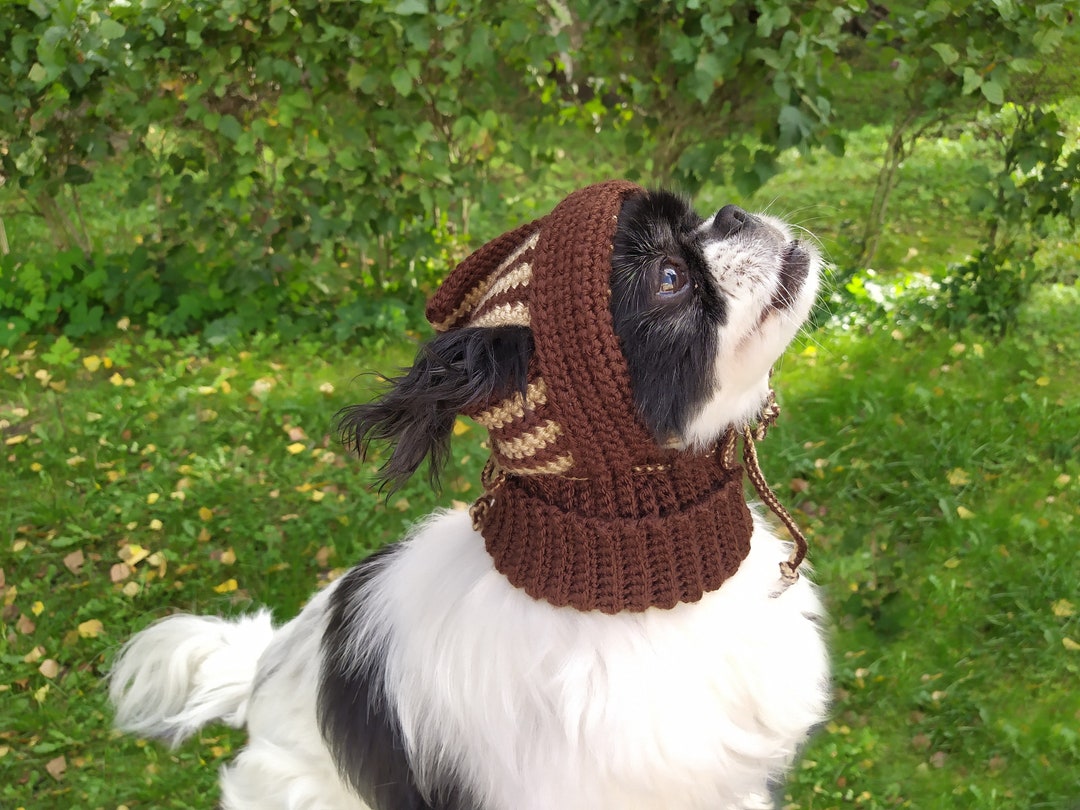 Dog Hat, Crochet Pattern, Large Dog Hat, Big Dog Clothing, Hat for French Bulldog, Dog Hat With