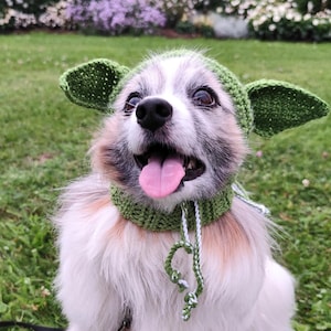 May include: A small dog wearing a green crocheted hat with large, pointed ears. The dog has a white and brown coat, with its tongue sticking out. The hat has a matching neck piece with a white and green cord.