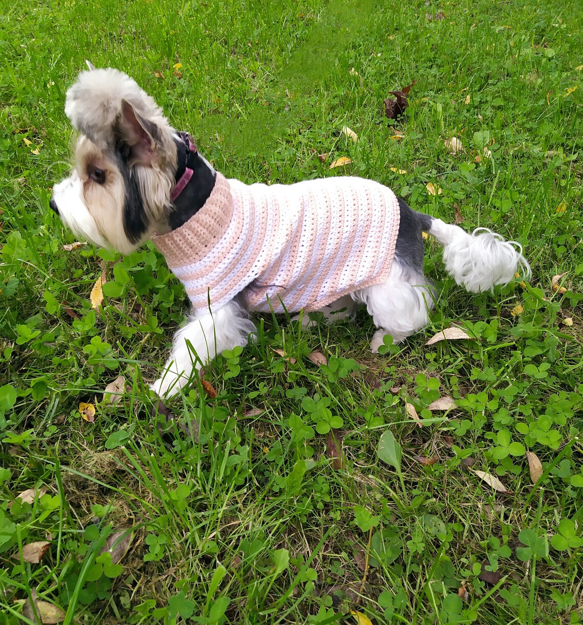 Dog Sweater Pattern Small and Medium Dog Sweater Pattern Pet Etsy