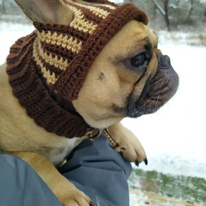 Сrochet hat pattern for French Bulldog, Crochet dog hat pattern, Dog hat pattern, Hat for pet with Ear Holes, Beginner crochet pattern. image 5