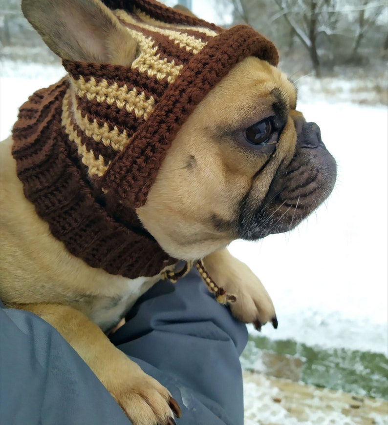 Сrochet hat pattern for French Bulldog, Crochet dog hat pattern, Dog hat pattern, Hat for pet with Ear Holes, Beginner crochet pattern. image 5