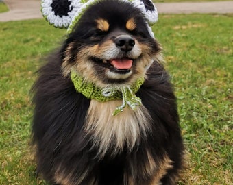 Crochet dog hat pattern, Frog hat for pet pattern, Crochet cat hat, Small and Medium dog crochet  hat pattern, Crochet frog hat, Hat for cat