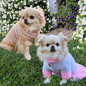 Jurk voor hond, gehaakte puppytruipatroon, chihuahuahondtrui, cadeaus voor puppy&#39;s, kleding kleine honden, middelgrote hondenjas, hondenjurk pdf.