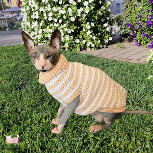 Sphynx cat sweater pattern, Crocheted sweater for cat pattern, Crochet dog sweater pattern, sphynx cat clothes, cat sweater crochet pattern. image 2