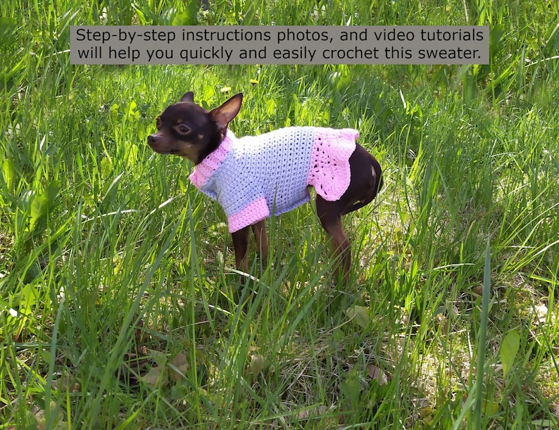 Dog Dress Pattern, Small Dog Clothes Girl, Crochet Pattern for Dog